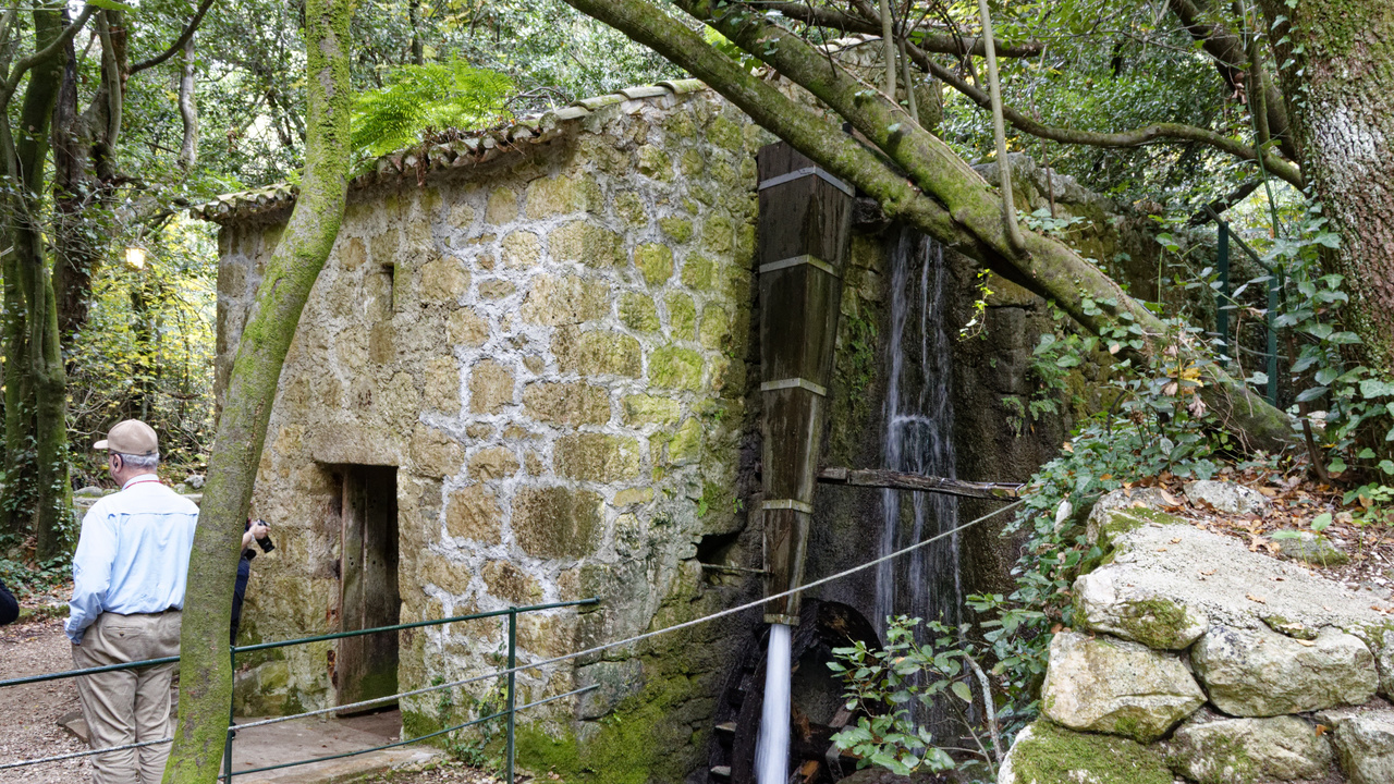 20221104 111244•Konavle•County of Dubrovnik-Neretva•Croatia